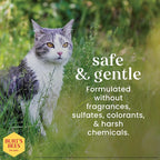 Burts Bees for Pets Hypoallergenic Cat Shampoo, Unscented, 10 Fl Oz, 2-Pk | Gentle shea butter and honey formula for indoor cats with dry or sensitive skin, pH balanced