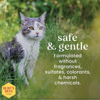 Burts Bees for Pets Hypoallergenic Cat Shampoo, Unscented, 10 Fl Oz, 6-Pk | Gentle shea butter and honey formula for indoor cats with dry or sensitive skin, pH balanced
