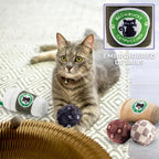 Haute Diggity Kitty Meowbucks Catpuccino Set, Soft Plush Cat Toys | 2 Pack Catnip Toys with Interactive Crackle Sound, Safe & Durable Cat Nip Kicker Toy for Outdoor & Indoor Cats & Kitten