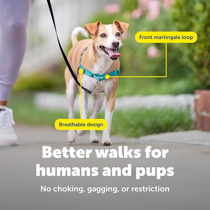 PetSafe Easy Walk Harness for Dogs - Pull-Free Walks - Patented Martingale Loop Design - Front Chest Leash Attachment - Comfort Straps - Breathable Harness Design - Small, Teal/Gray
