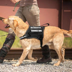 Service Dog Vest Harness and Leash Set+10 Patches,No Pull&Easy Walk Reflective Dog Harness with Soft Padded Handle for Training/Everyday,Fit Small/Medium/Large/Extra-Large Dogs (Black S) | No Pull&Adjustable Reflective Dog Harness Small Sized,Dog Leash...