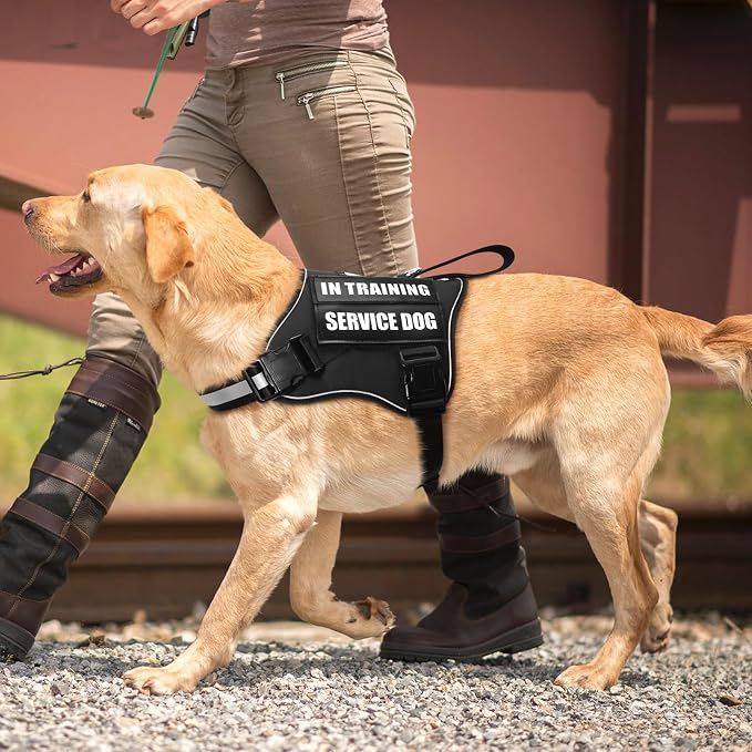 Service Dog Vest Harness and Leash Set+10 Patches,No Pull&Easy Walk Reflective Dog Harness with Soft Padded Handle for Training/Everyday,Fit Small/Medium/Large/Extra-Large Dogs (Black L) | No Pull&Adjustable Reflective Dog Harness Large Sized,Dog Leash...
