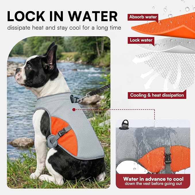 Dog Cooling Vest for Small Dogs, Cooling Jacket for Dogs with Mesh and D Ring, Dog Reflective Stripe Jacket for Hot Weather, Orange-S