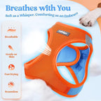 rabbitgoo Dog Harness Small Sized and Leash Set, Step-in Puppy Pet Vest | Light, Soft, Breathable Air Mesh, Easy on and Remove with Hook & Loop, Secure Reflective for Walking, Blue & Orange XXS