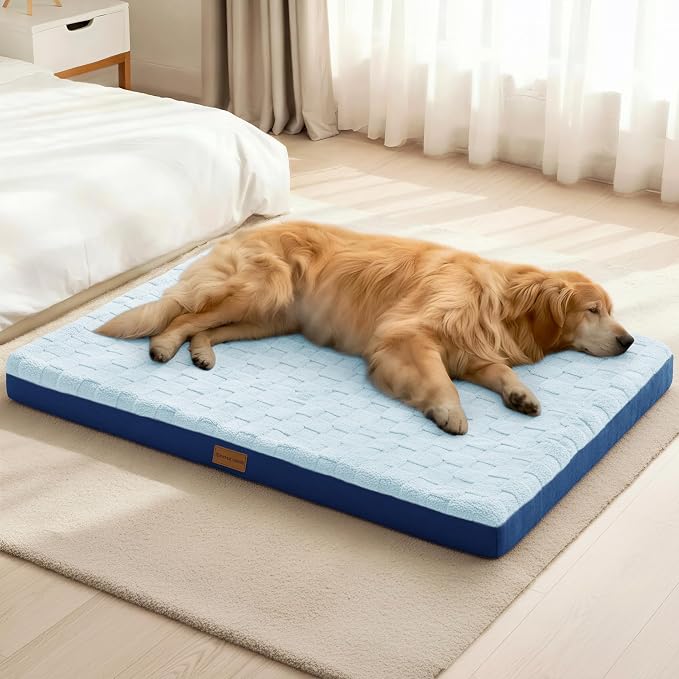 Patas Lague Orthopedic Large Dog Bed Washable Pet Crate Mat 48''X30'' Blue | Egg-Crate Foam Dog Couch For Large Sized Dogs, Waterproof Removable Cover, Soft Pet Bed With Nonskid Bottom