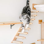 FUKUMARU Cat Climbing Shelf Wall Mounted, Small | Four Step Cat Stair, Natural Jute Scratching, Solid Rubber Wood, Kitten Shelves Furniture