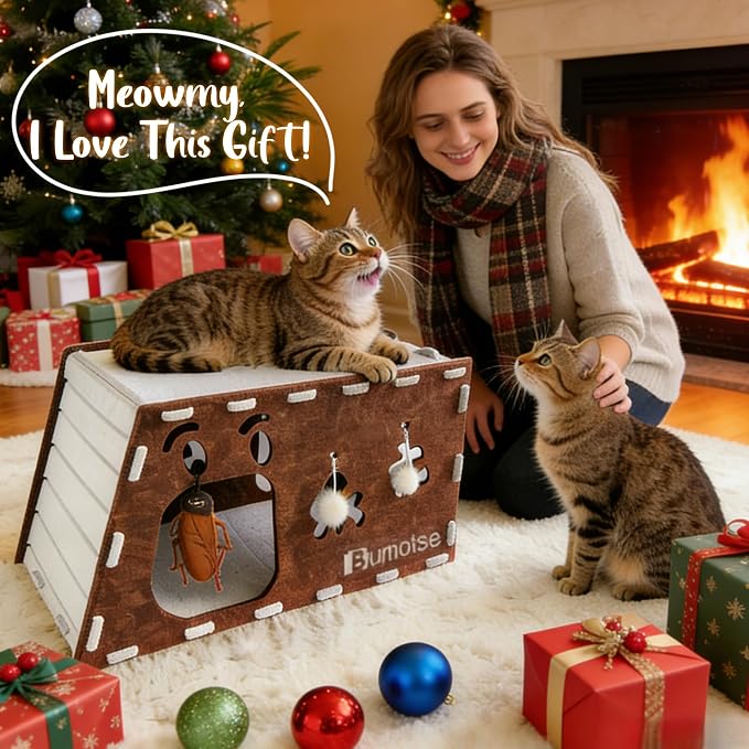 Cat Tunnel House for Indoor Cats, 3-in-1 Felt Cave and Scratcher | Fits 12–22 lb pets, reinforced top supports lounging, joins two units into a 47-inch play zone, includes two catnip bell toys