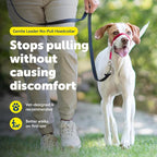 PetSafe Gentle Leader No Pull Dog Headcollar, Red, Medium | Veterinary Behaviorist-Designed No-Pull Headcollar Redirects Pulling Instinct, Padded Neoprene Nose Loop, Quick-Snap Fit