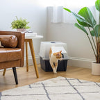 IRIS USA Large Front Door Cat Litter Box, Walk-in Entry, Navy | Easy Access Needs, Private Enclosure Design, Covered Walk-Through, Contained Environment, Privacy Hood