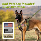 Forestpaw No Pull Dog Harness with Large Handle,Comfortable,M,Green | Adjustable Fits Chest 23-28",28-50 lbs,Slip On,Quick Release Buckle,Easy Control,Soft Padded,for Medium Dogs Walking Training