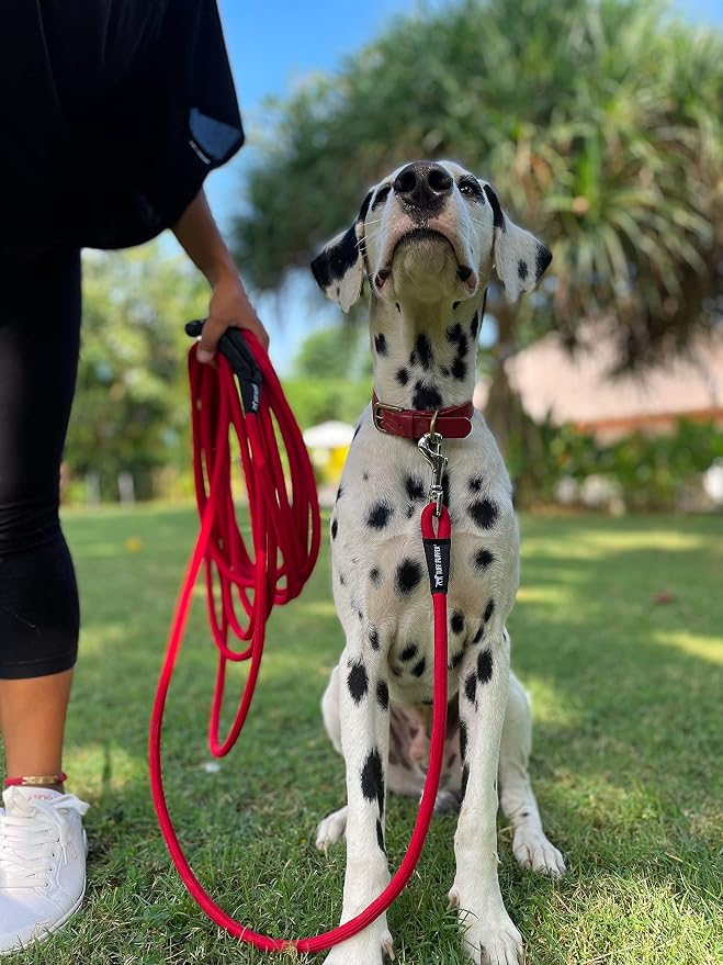 Tuff Pupper Heavy Duty 30 Foot Long Rope Leash for Dogs | Dog Recall Training Lead | High Visibility Strong Climbing Rope Leash | Hand or Waist Worn | Stainless Steel 360° Clips for Tangle Free Use