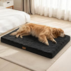 Patas Lague Orthopedic Large Dog Bed Washable Pet Crate Mat 48''X30'' Black | Egg-Crate Foam Dog Couch For Large Sized Dogs, Waterproof Removable Cover, Soft Pet Bed With Nonskid Bottom