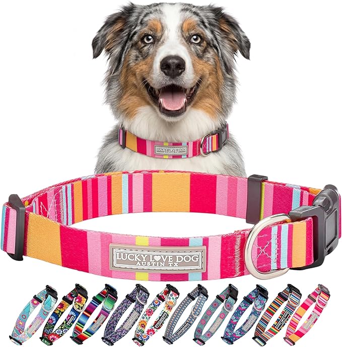 Lucky Love Dog - Adjustable Dog Collar with Easy Click Buckle for Medium, Durable, & Comfortable for Male & Female Dogs, Pet Collar for Puppies & Adult Dogs - Molly, Medium
