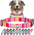 Lucky Love Dog - Adjustable Dog Collar with Easy Click Buckle for Medium, Durable, & Comfortable for Male & Female Dogs, Pet Collar for Puppies & Adult Dogs - Molly, Medium