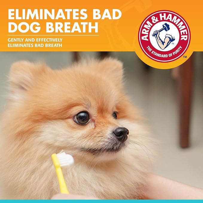 Arm & Hammer Fresh Breath Enzymatic Dog Toothpaste, Chicken, 2.5 Oz, 3-Pk | Enzymatic baking soda formula, poultry flavor, daily use, puppies and adult dogs
