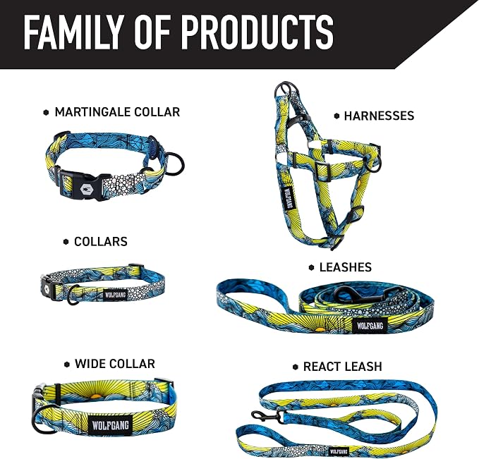 Wolfgang Heavy Duty Dog Leash, Pull-Tested for Walking & Training, DawnPatrol Print, Small