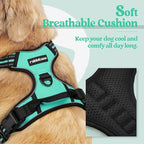 rabbitgoo Dog Harness, No Pull for Large Dogs with 2 Leash Clips, Pet Vest | No Choke with Handle, Adjustable Soft Padded, Reflective, Easy Control for Walking, Turquoise, X-Large