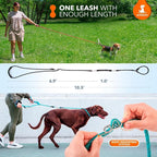 SparklyPets - Bungee Rope Handsfree Leash for 1 Dog - Demovable Slip Lead - Waist or Hip Belt Leash for Dog Walking, Running, Carnicross - Medium & Large Breeds