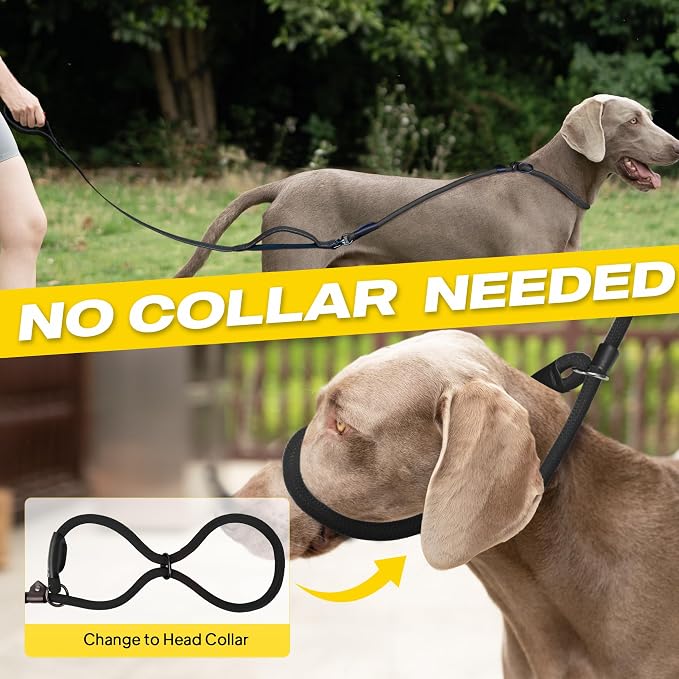 Fida 2-in-1 Slip Lead Dog Leash with 2 Handles, 6FT Training Leash, Black | No Collar Needed, Tangle Free, Soft Padded Handles, Traffic Control,Reflective Heavy Duty No Pull Leash for Medium-Large Dogs