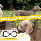 Fida 2-in-1 Slip Lead Dog Leash with 2 Handles, 6FT Training Leash, Black | No Collar Needed, Tangle Free, Soft Padded Handles, Traffic Control,Reflective Heavy Duty No Pull Leash for Medium-Large Dogs