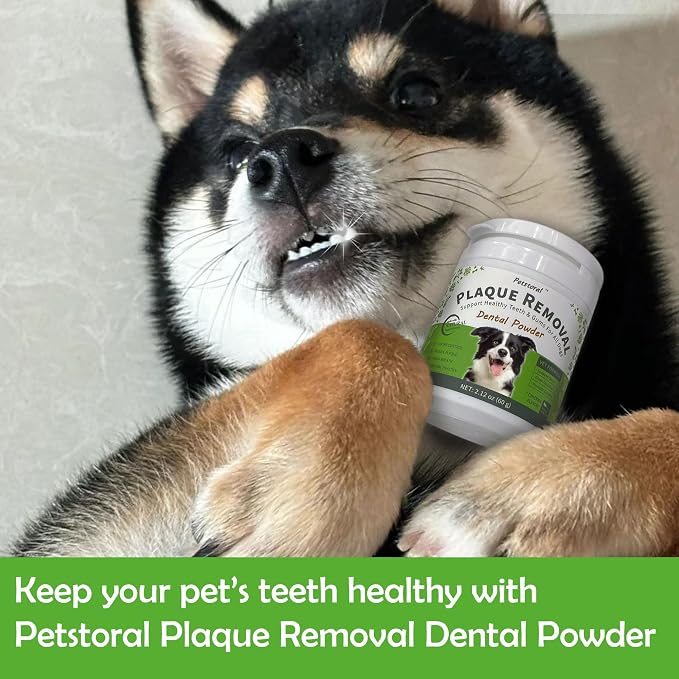 Petstoral 2-Pack Natural Dog Dental Powder for Plaque Removal | Helps Reduce Plaque, Supports Healthy Teeth & Gums, Freshens Breath, Daily Dental Care for All Dogs