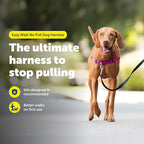 PetSafe Easy Walk Harness for Dogs - Pull-Free Walks - Patented Martingale Loop Design - Front Chest Leash Attachment - Adjustable Comfort Straps - Breathable Harness Design - Medium, Raspberry/Gray