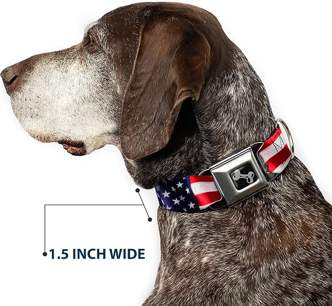 Dog Collar Seatbelt Buckle American Flag Vivid Close Up, Durable USA | Patriotic Pet Collar with Heavy Duty Quick Release Metal Buckle for Medium & Large Dogs, 15 to 26 Inches, 1.0 Inch Wide