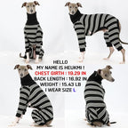 D Doggy Star Italian Greyhound Clothes Soft Stretchy Onesie Refined Stripe Outfit Whippet for Dog Coat (M,Onsi Ivory Str)
