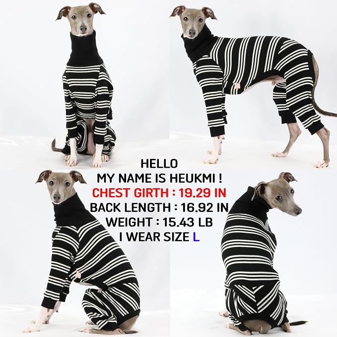 D Doggy Star Italian Greyhound Clothes Soft Stretchy Onesie Refined Stripe Outfit Whippet for Dog Coat (M,Onsi Ivory Str)