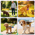 Zhehao Dog Poop Bag Holder Bulk 50 Pack for Leash with Clip, Preloaded Waste Dispenser, Portable Walking Accessories for Hiking Travel Multi Dog Household(Core,Bone)