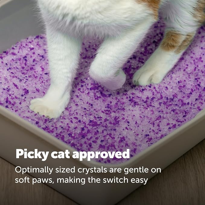 PetSafe ScoopFree Odor Control Crystal Cat Litter, Lavender Scent, 8 Lb Bag | 5x Faster Odor Control than Clumping Clay Litter, 99% Dust-Free, Low Tracking Crystals, Compatible with Any Cat Litter Box