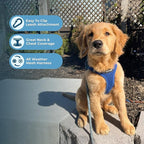 Best Pet Supplies Voyager Step-in Air All Weather Mesh Harness and Reflective Dog 5ft Leash Combo with Neoprene Handle, for Small, Medium and Large Breed Puppies - Royal Blue, X-Large