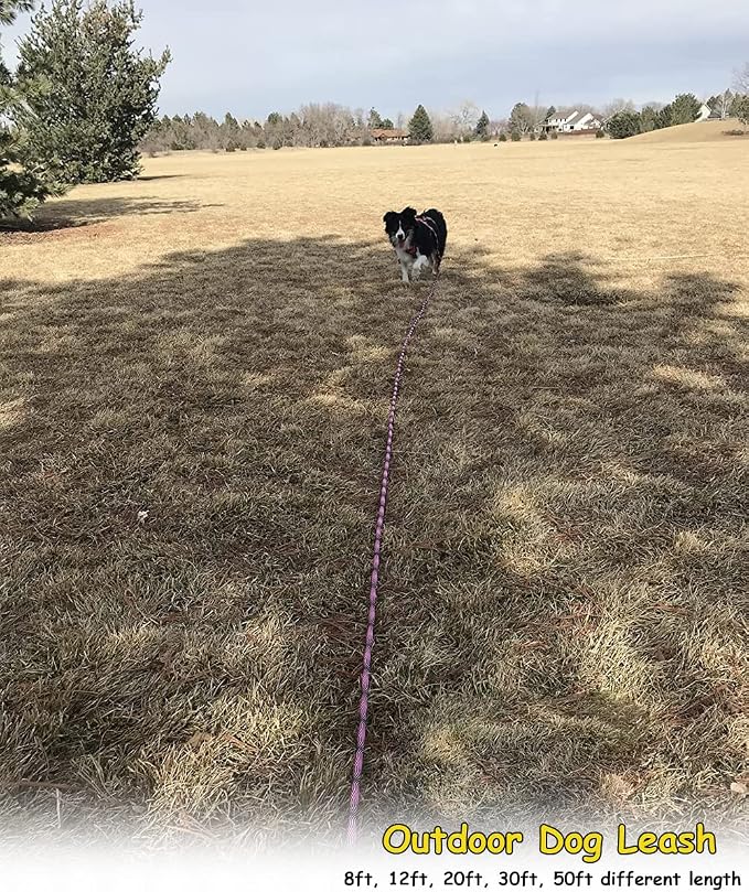 BTINESFUL 8ft/12ft/20ft/30ft/50ft/75ft Dog Tie-Out Long Tether Rope Leash, Outdoor Dog Lead for Yard- Large Medium Dogs Training, Playing, Camping, Backyard (20 Foot, Pink Black)