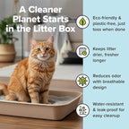 Kitty Sift Disposable Cat Litter Box Large, 6 Count, Durable Portable for Travel and Home, Eco-Friendly Disposable Litter Box Controls Odor