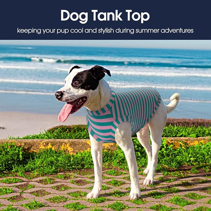 IECOii 2 Pack Dog Surgery Recovery Shirt Sleeveless Lightweight Dog Tshirt | T-Shirts with Stretch Fit,Gentle on Sensitive Skin,Anti-licking for Hot Spots,Shedding Control Tee,For Small to Giant Dogs