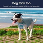 IECOii 2 Pack Dog Surgery Recovery Shirt Sleeveless Lightweight Dog Tshirt | T-Shirts with Stretch Fit,Gentle on Sensitive Skin,Anti-licking for Hot Spots,Shedding Control Tee,For Small to Giant Dogs