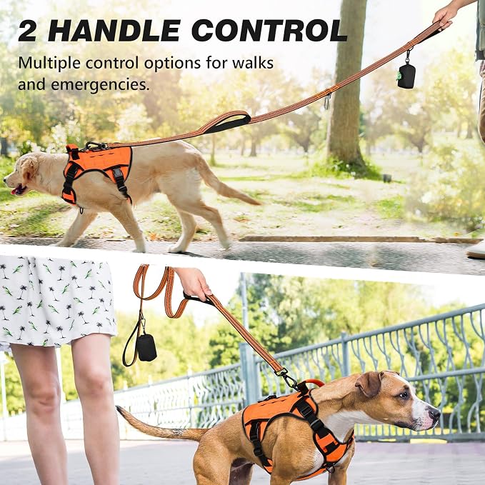 Double Handle Dog Leash with Poop Bag Holder and Car Seat Belt Buckle | Heavy Duty | Double Handle | with Poop Bag Holder | with Car Seat Belt Buckle | Reflective | Lightweight