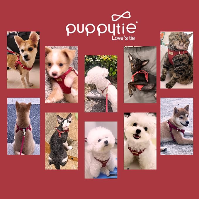Puppytie Small Dog Harness and Leash Set, Red Hawthorn, S (9-17.5 lbs) | Dog Harness Small Sized Dog, Dog Leash for Small Dogs, Soft and Lightweight, Puppytie Dog Harness for Daily Walks