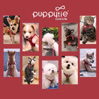 Puppytie XXS Puppy Harness and Leash Set, Red Hawthorn, XXS (2.2–6 lbs) | Puppy Harness for Small Dogs, Teacup and Yorkie Harness, Soft Lightweight and Adjustable, XXS Dog Harness for Daily Walks