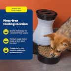 PetSafe Healthy Pet Food Station, Medium | Dry Food Dispenser, Removable Stainless Steel Bowl Is Dishwasher Safe, Space-Saving Design