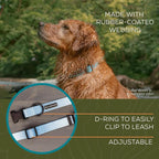 Wilderdog Waterproof Dog Collar - Repels Water & Dirt - Small 11"-15" - Saltwater