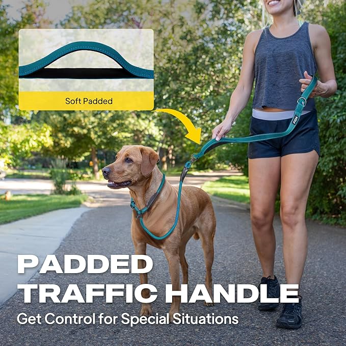 Fida 2-in-1 Slip Lead Dog Leash with 2 Handles, 6FT Training Leash, Blue | No Collar Needed, Tangle Free, Soft Padded Handles, Traffic Control,Reflective Heavy Duty No Pull Leash for Medium-Large Dogs