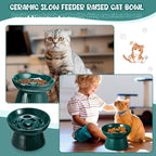 Tioncy 1 Pcs Ceramic Elevated Slow Feeder Cat Bowl, Raised Cat Slow Feeder Bowl, Anti Vomiting for Dry and Wet Food, No Spill High Edge Easy Clean Dishwasher Safe (Dark Green)