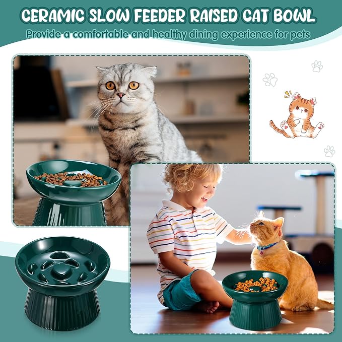 Tioncy 1 Pcs Ceramic Elevated Slow Feeder Cat Bowl, Raised Cat Slow Feeder Bowl, Anti Vomiting for Dry and Wet Food, No Spill High Edge Easy Clean Dishwasher Safe (Dark Green)