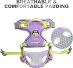 BARKBAY No Pull Dog Harness Front Clip Heavy Duty Reflective Easy Control Handle for Large Dog Walking(Violet Purple & Sunlight,L)