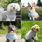 Spark Paws Sunblock Dog T-Shirt, SPF30 Protection, Lightweight Breathable Quick Dry for Dogs with Sensitive Skin - Blue & Grey (Set of 2) - L