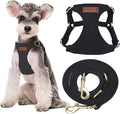 Puppytie Dog Harness and Leash Set, Black, M (16.5-31 lbs) | Harness Small Size Dog, Dog Leash for Small Dogs, Soft Lightweight and Adjustable, Small Dog Harness for Daily Walks
