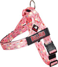 BULLHUG Adjustable Dog Harness– No Pull, No Choke – for English Bulldogs, French Bulldogs, Pugs & Broad-Chested Breeds – Easy, Safe Walks (Cupcake, XS)