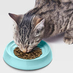 CatGuru Cat Bowls, Whisker Friendly Food Bowl for Indoor Cats, Reliefs Whisker Fatigue, Wide Kitten Dish, Non Slip Pet Dishes, Shallow Pet Plates (Aruba, (Pack of 2))