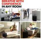 Honeywell HEPA Air Purifier for Home and Small-Medium 938 Ft² Rooms, Black | Powerful HEPA Filtration with Quiet, Clean, Turbo and Auto Modes, Reduces Allergens, Dust, Pollen, Pet Dander, Odors, Smoke